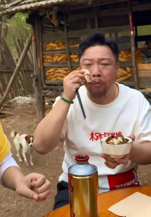 明星网红塌房后续,揭秘背后真相与影响