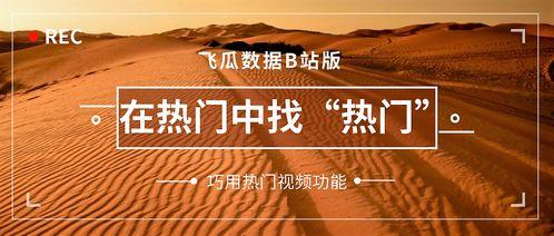 中瓜中国热门视频下载,揭秘中瓜中国热门视频下载秘籍