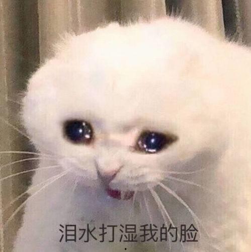 前些年最热门的瓜,揭秘那些年被热议的幕后真相