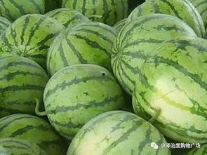 热门葫芦瓜特效怎么做的,热门特效揭秘与实操技巧