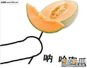 热门表情包哈密瓜是什么,网络热梗背后的文化现象