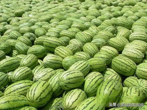 好看的热门大瓜排行榜,盘点近期最受关注的娱乐圈风云事件