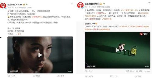 明星网红短片有哪些,短视频时代的魅力瞬间