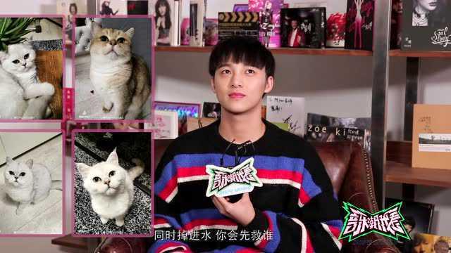 明星网红直播演戏视频,明星网红跨界演绎精彩瞬间
