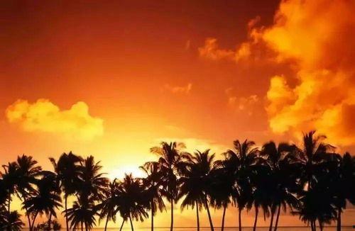 明星网红在海南日落,海南日落下的明星网红风采瞬间