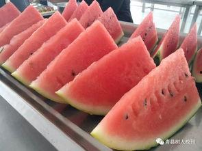 青县吃瓜最新事件爆料新闻
