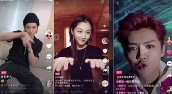 短视频恶搞明星网红,明星网红的“另类”风采
