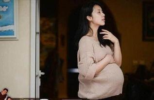 明星网红肥胖孕照,明星肥胖孕期生活点滴
