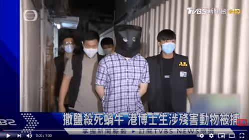 911红领巾吃瓜爆料女博士,911红领巾吃瓜爆料背后的女博士传奇