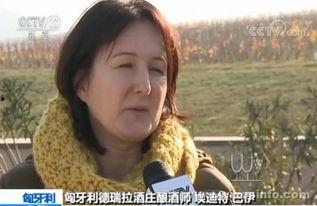 进博会明星网红,明星网红助力盛会魅力绽放