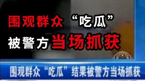 廊坊吃瓜最新事件爆料新闻,揭秘最新事件背后真相