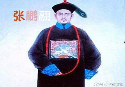遂宁市明星网红,明星网红闪耀城市新名片