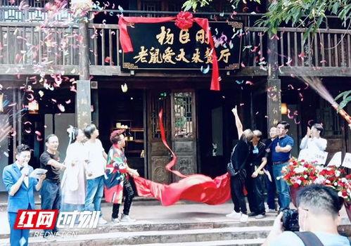 遂宁市明星网红,明星网红闪耀城市新名片